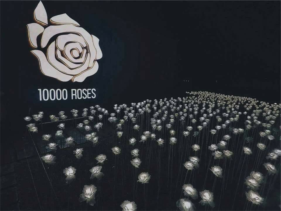TEN THOUSAND ROSES – One Step Forward